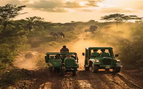 Wildlife & Beach 9-Day Tour