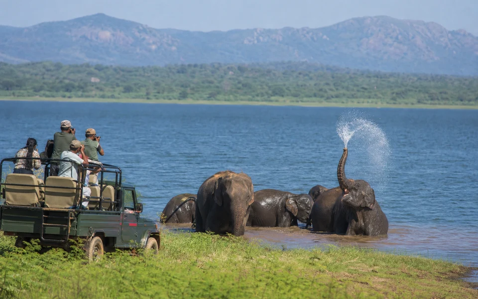 Wildlife & Beach 9-Day Tour