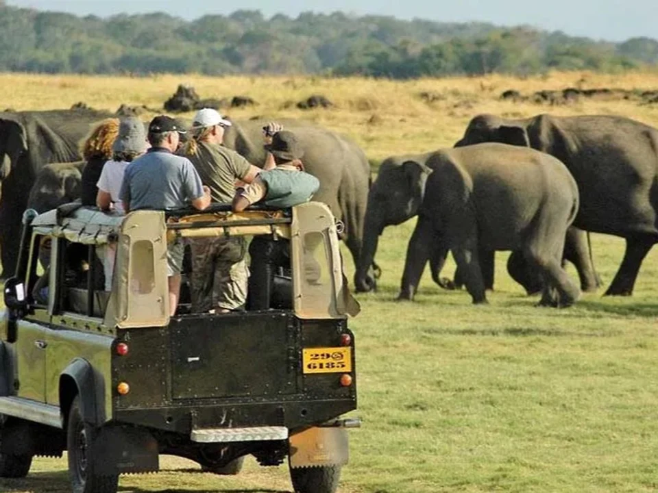 Dawn & Dusk Jeep Safaris